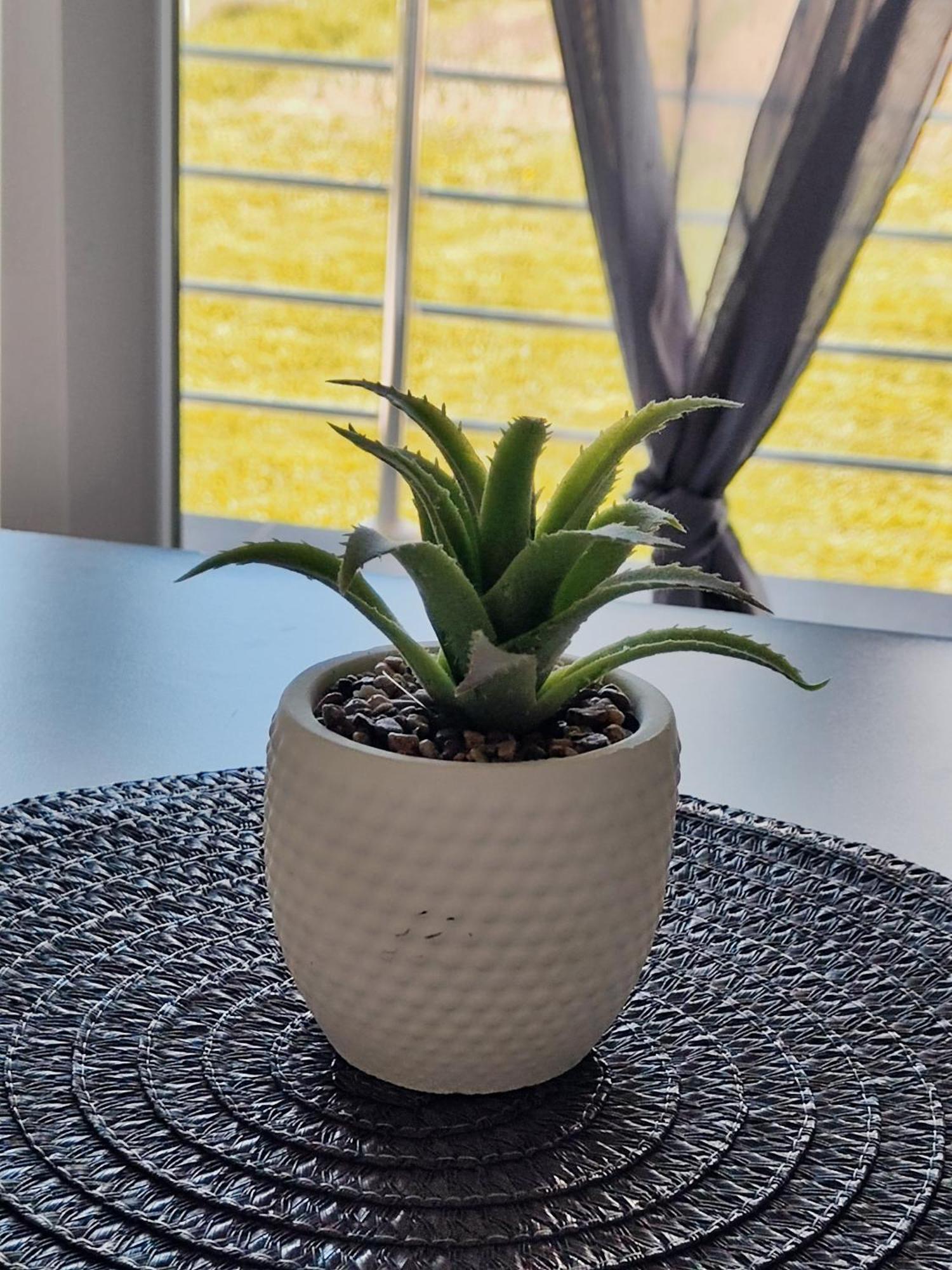 Apartman Marija Perusic エクステリア 写真